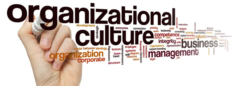 organizational culture